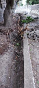 Le charme de notre vieille église faisait peut-être des ravages?